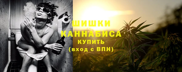 ГАЛЛЮЦИНОГЕННЫЕ ГРИБЫ Вязники