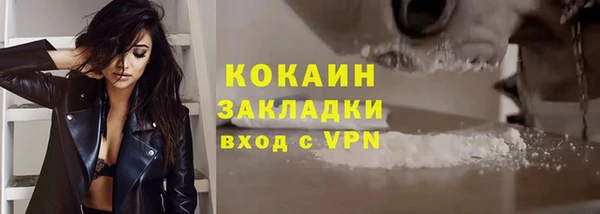 дмт Вяземский