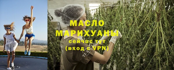 индика Горняк