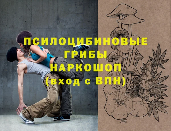 дмт Вяземский