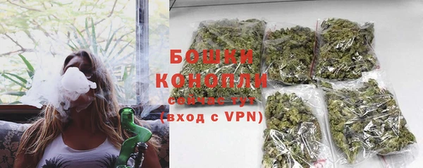 ГАЛЛЮЦИНОГЕННЫЕ ГРИБЫ Вязники
