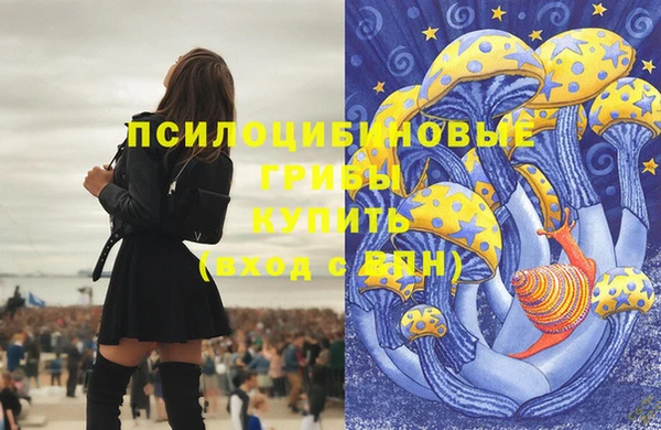 ГАЛЛЮЦИНОГЕННЫЕ ГРИБЫ Вязники