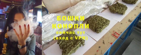 дмт Вяземский